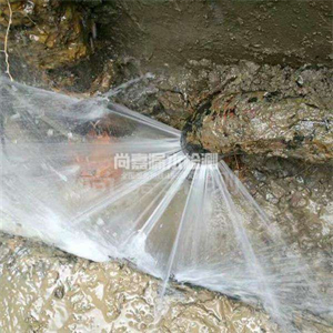 龙口消防管道漏水检测